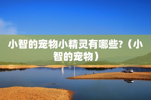 小智的宠物小精灵有哪些?（小智的宠物）