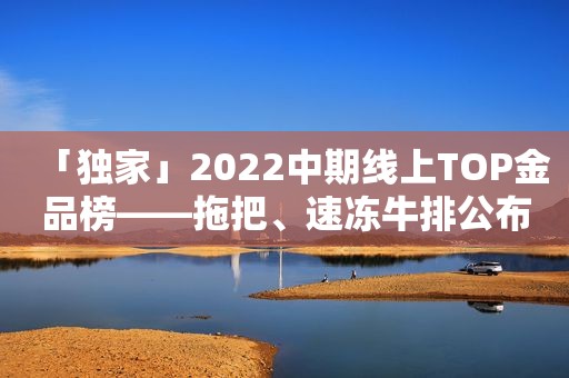 「独家」2022中期线上TOP金品榜——拖把、速冻牛排公布