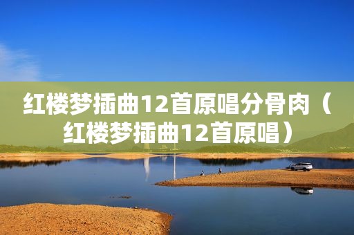 红楼梦插曲12首原唱分骨肉（红楼梦插曲12首原唱）
