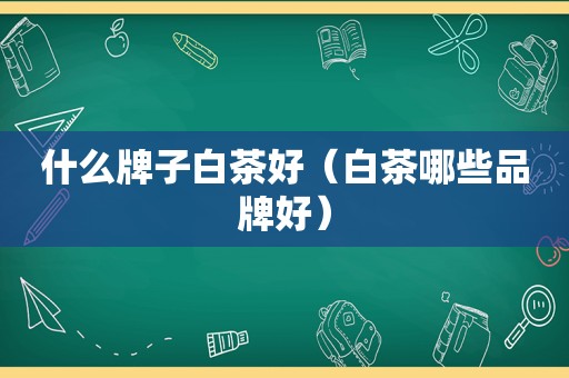 什么牌子白茶好（白茶哪些品牌好）