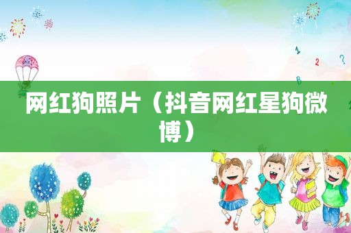 网红狗照片（抖音网红星狗微博）