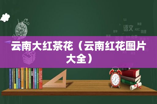 云南大红茶花（云南红花图片大全）