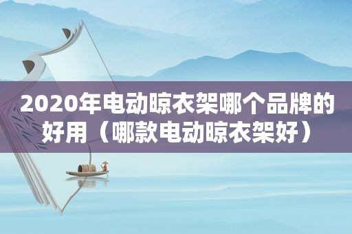 2020年电动晾衣架哪个品牌的好用（哪款电动晾衣架好）
