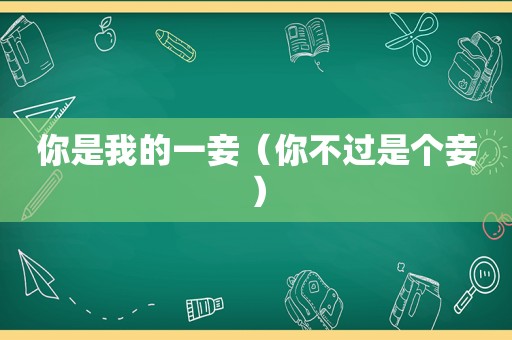 你是我的一妾（你不过是个妾）
