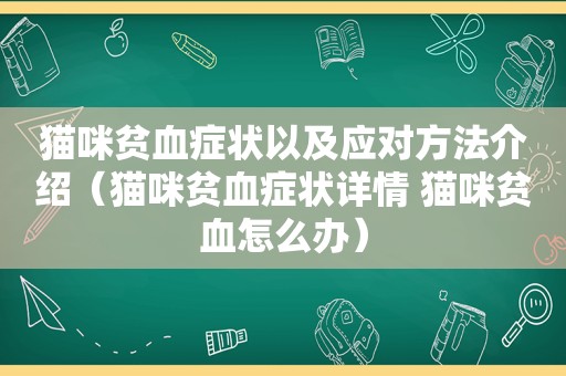 猫咪贫血症状以及应对方法介绍（猫咪贫血症状详情 猫咪贫血怎么办）