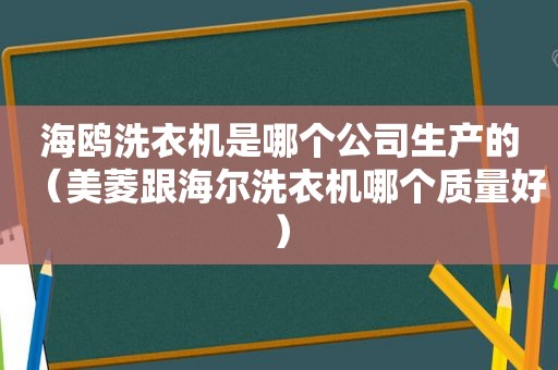 海鸥洗衣机是哪个公司生产的（美菱跟海尔洗衣机哪个质量好）