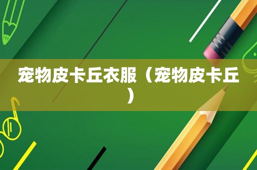 宠物皮卡丘衣服（宠物皮卡丘）