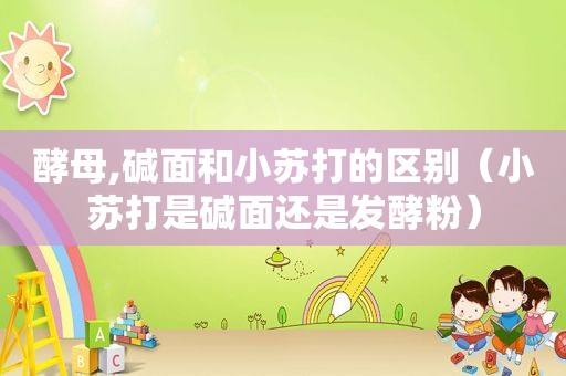酵母,碱面和小苏打的区别（小苏打是碱面还是发酵粉）