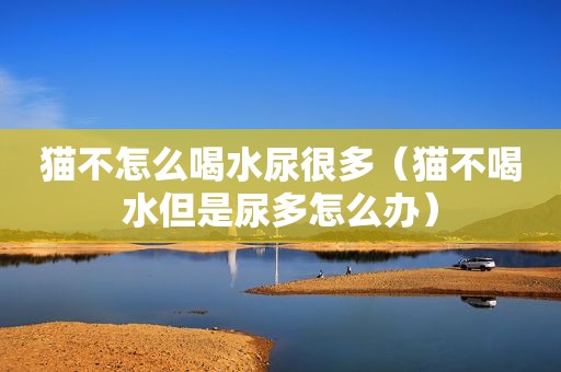 猫不怎么喝水尿很多（猫不喝水但是尿多怎么办）
