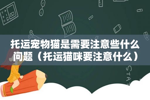 托运宠物猫是需要注意些什么问题（托运猫咪要注意什么）