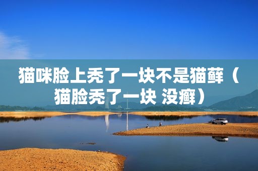 猫咪脸上秃了一块不是猫藓（猫脸秃了一块 没癣）