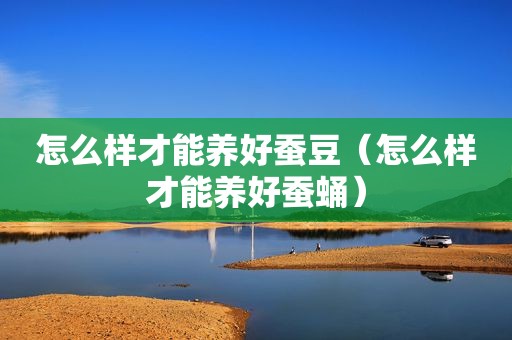 怎么样才能养好蚕豆（怎么样才能养好蚕蛹）
