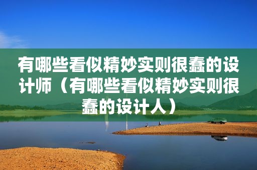 有哪些看似精妙实则很蠢的设计师（有哪些看似精妙实则很蠢的设计人）