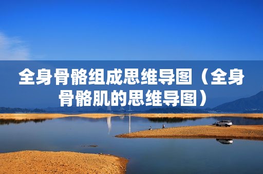 全身骨骼组成思维导图（全身骨骼肌的思维导图）