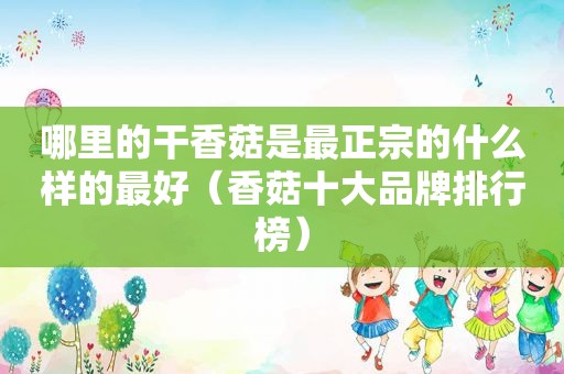 哪里的干香菇是最正宗的什么样的最好（香菇十大品牌排行榜）