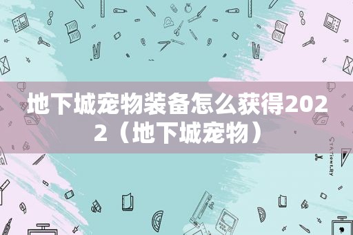 地下城宠物装备怎么获得2022（地下城宠物）