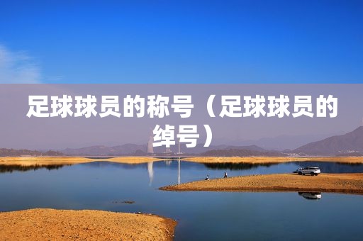 足球球员的称号（足球球员的绰号）