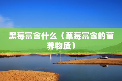 黑莓富含什么（草莓富含的营养物质）