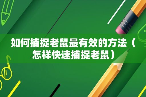 如何捕捉老鼠最有效的方法（怎样快速捕捉老鼠）