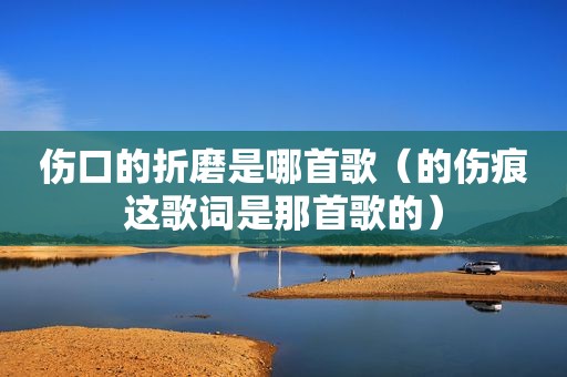 伤口的折磨是哪首歌（的伤痕这歌词是那首歌的）