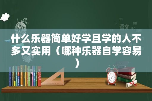 什么乐器简单好学且学的人不多又实用（哪种乐器自学容易）