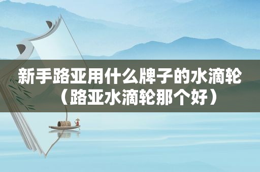 新手路亚用什么牌子的水滴轮（路亚水滴轮那个好）