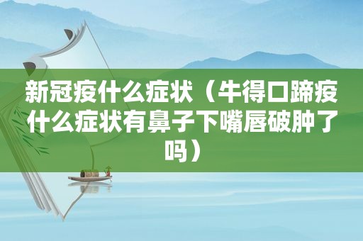 新冠疫什么症状（牛得口蹄疫什么症状有鼻子下嘴唇破肿了吗）