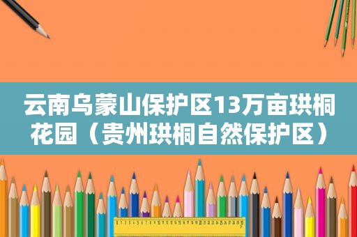 云南乌蒙山保护区13万亩珙桐花园（贵州珙桐自然保护区）