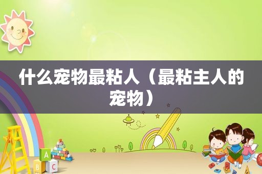 什么宠物最粘人（最粘主人的宠物）