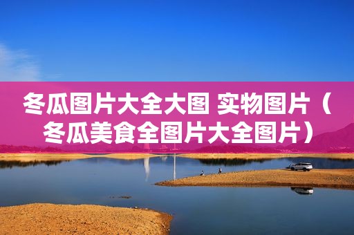 冬瓜图片大全大图 实物图片（冬瓜美食全图片大全图片）