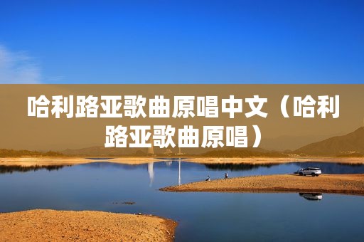 哈利路亚歌曲原唱中文（哈利路亚歌曲原唱）