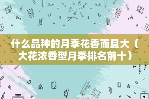 什么品种的月季花香而且大（大花浓香型月季排名前十）