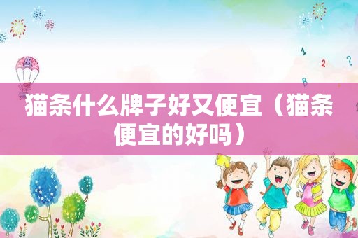 猫条什么牌子好又便宜（猫条便宜的好吗）