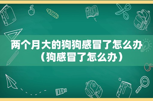 两个月大的狗狗感冒了怎么办（狗感冒了怎么办）