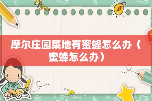 摩尔庄园菜地有蜜蜂怎么办（蜜蜂怎么办）