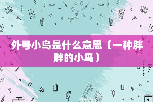 外号小鸟是什么意思（一种胖胖的小鸟）