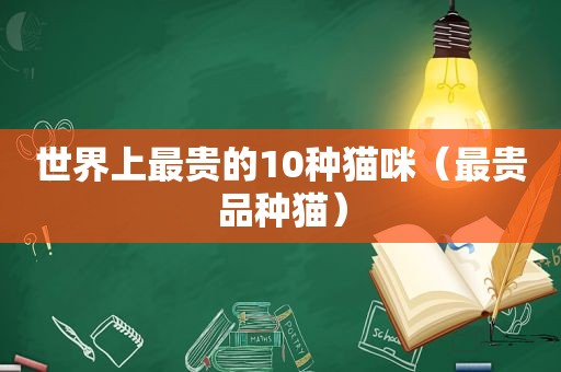 世界上最贵的10种猫咪（最贵品种猫）
