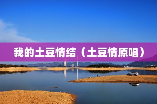 我的土豆情结（土豆情原唱）