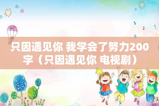 只因遇见你 我学会了努力200字（只因遇见你 电视剧）