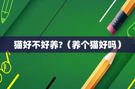 猫好不好养?（养个猫好吗）