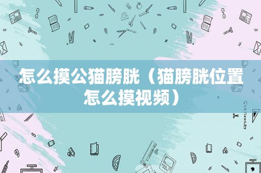 怎么摸公猫膀胱（猫膀胱位置怎么摸视频）