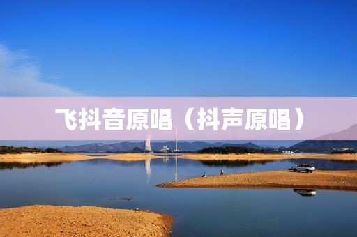 飞抖音原唱（抖声原唱）