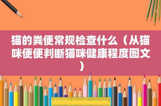 猫的粪便常规检查什么（从猫咪便便判断猫咪健康程度图文）