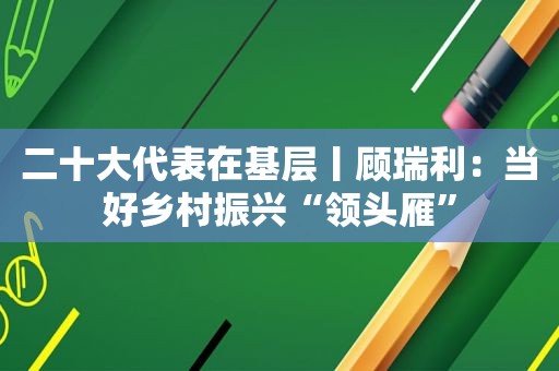 二十大代表在基层丨顾瑞利：当好乡村振兴“领头雁”