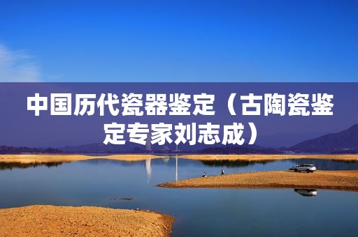 中国历代瓷器鉴定（古陶瓷鉴定专家刘志成）