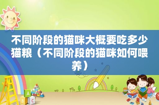 不同阶段的猫咪大概要吃多少猫粮（不同阶段的猫咪如何喂养）