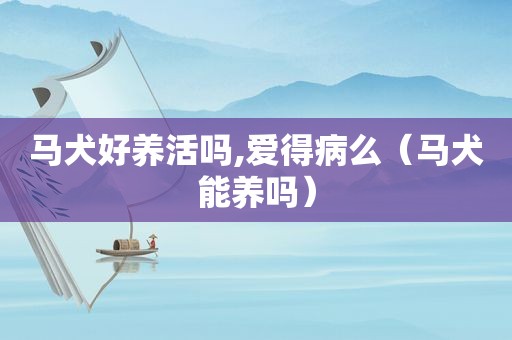 马犬好养活吗,爱得病么（马犬能养吗）