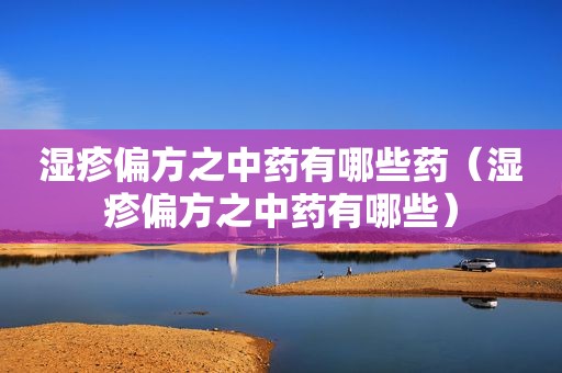 湿疹偏方之中药有哪些药（湿疹偏方之中药有哪些）