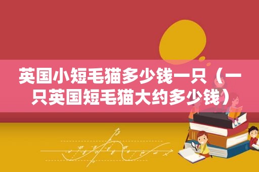英国小短毛猫多少钱一只（一只英国短毛猫大约多少钱）