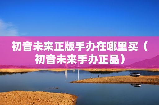 初音未来正版手办在哪里买（初音未来手办正品）